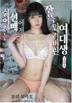 家有九凤免费观看 第25集